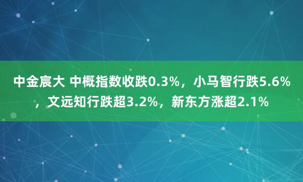 中金宸大 中概指数收跌0.3%，小马智行跌5.6%，文远知行跌超3.2%，新东方涨超2.1%