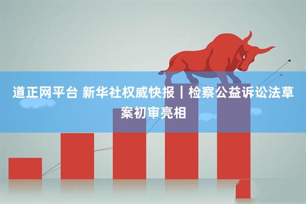 道正网平台 新华社权威快报｜检察公益诉讼法草案初审亮相