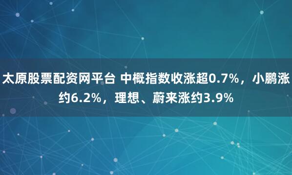 太原股票配资网平台 中概指数收涨超0.7%，小鹏涨约6.2%，理想、蔚来涨约3.9%