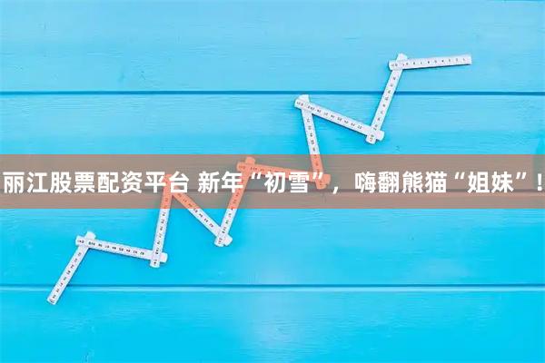 丽江股票配资平台 新年“初雪”，嗨翻熊猫“姐妹”！