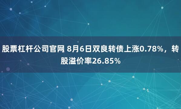 股票杠杆公司官网 8月6日双良转债上涨0.78%，转股溢价率26.85%